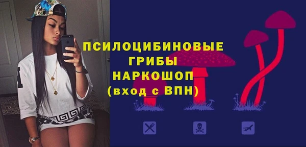 МДПВ Краснотурьинск