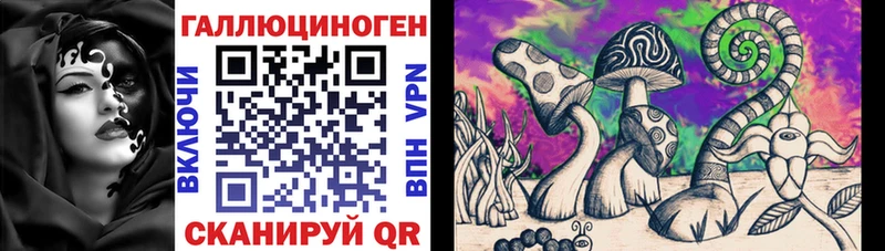 Псилоцибиновые грибы Psilocybe  купить закладку  блэк спрут ссылки  Павлово 