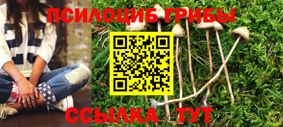 Галлюциногенные грибы прущие грибы Павлово