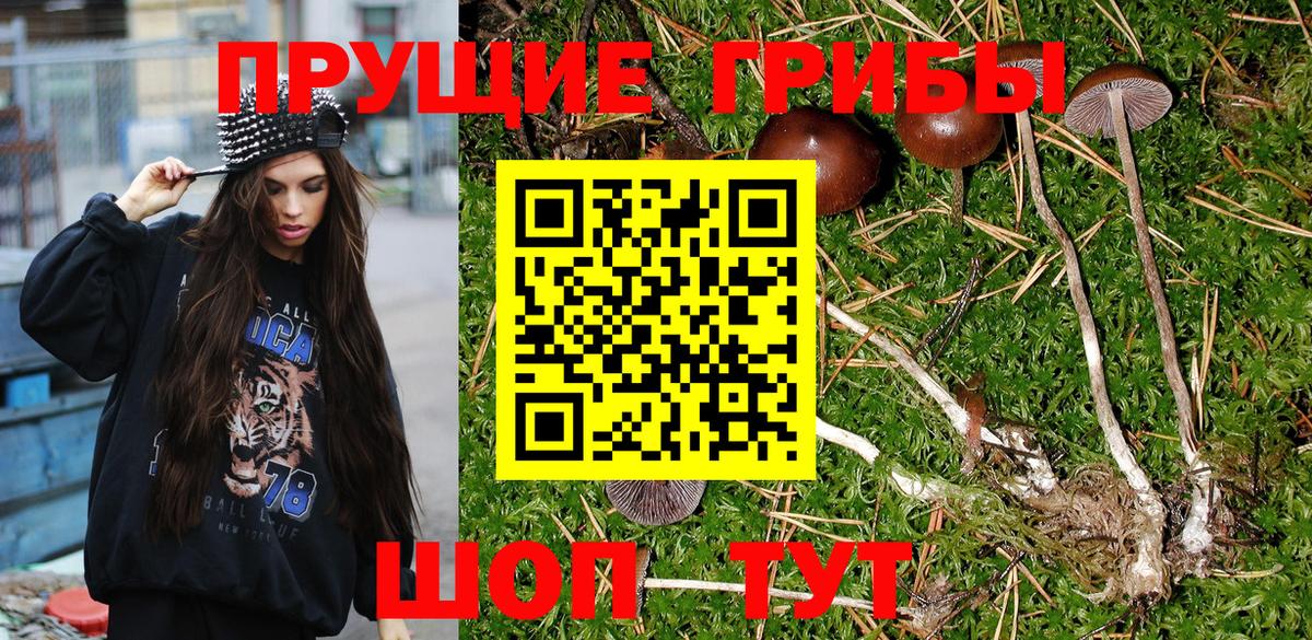 Галлюциногенные грибы MAGIC MUSHROOMS  Вход с VPN  где купить наркоту  Галлюциногенные грибы GOLDEN TEACHER  Павлово 